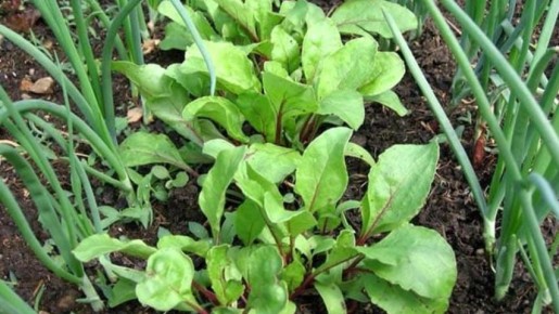 ��� ������� ����� ������� ���� ������� ������ �� ����� �������