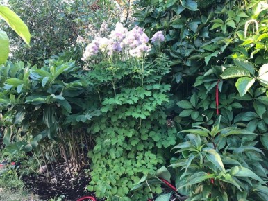 ��� ��������� ��������� �������� ������: ������� � ������ ������