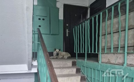 "���� ��������": "������" ����������� �������� ��������� ����� ����� � ��������