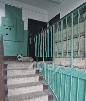 "������" ����������� �������� ��������� ����� � ��������