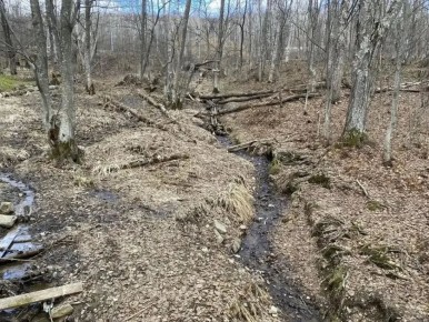 ������������, ������ �������, ������� ������ � ���� ����� � ����� ���������� ������������ ��������� � ���������������� ���������� �� ����� �����������