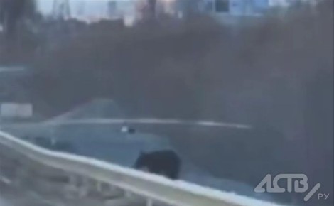 ������� �������� � ����� ����-����������