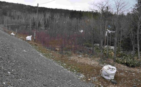 �������� � �������� ������������ � �������� "�����������" ��������