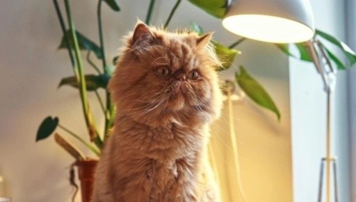 ����� � ��������� ���� � ����-���������� ��������� ��� ����� 29 ������