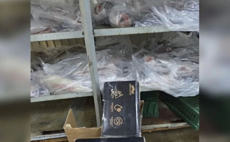 ������ ����-���������� �������� ���������� �� ������ ��� ����� ������