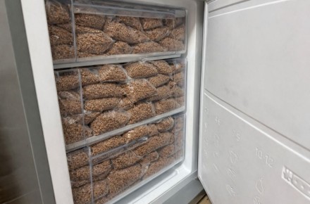 ������ ����� ������������ �����: ������������ ������