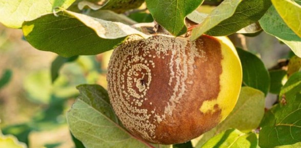 ������ ������ �� ���������: ��� ��������� ������� ������ � 2025 ����