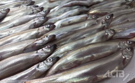 �����, ������ ��� ������: ����� ���� � ��� ����� ������ �� �������� ���� � ����-����������