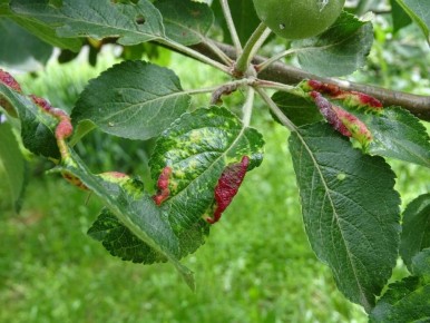 ��� ������������ ��� ����� ������: ������� ������ �� ������ � ����������� � ���������