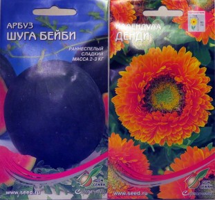 ����� ����� ������ �����: ��� ������� ������ ��� �������