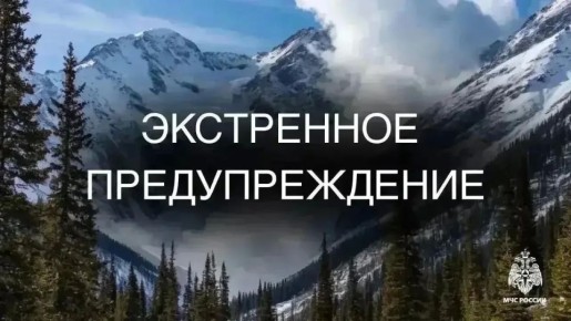 ��������: ������������. . �� ������ ������������ ����, 4 ���, �������������� �������� ��������� �� ���������� �������������� �������������� ����������� (�/� ������������ � ���������� ������� � �.�. ���������)