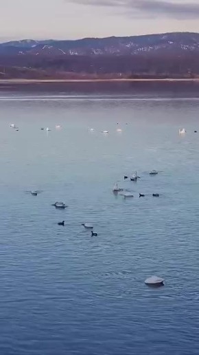 ����������� �������� ������� - �������� �������� ��� ������� � �������� �����