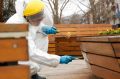 �� ������� ������ ���� ��������� ������������� � ���������