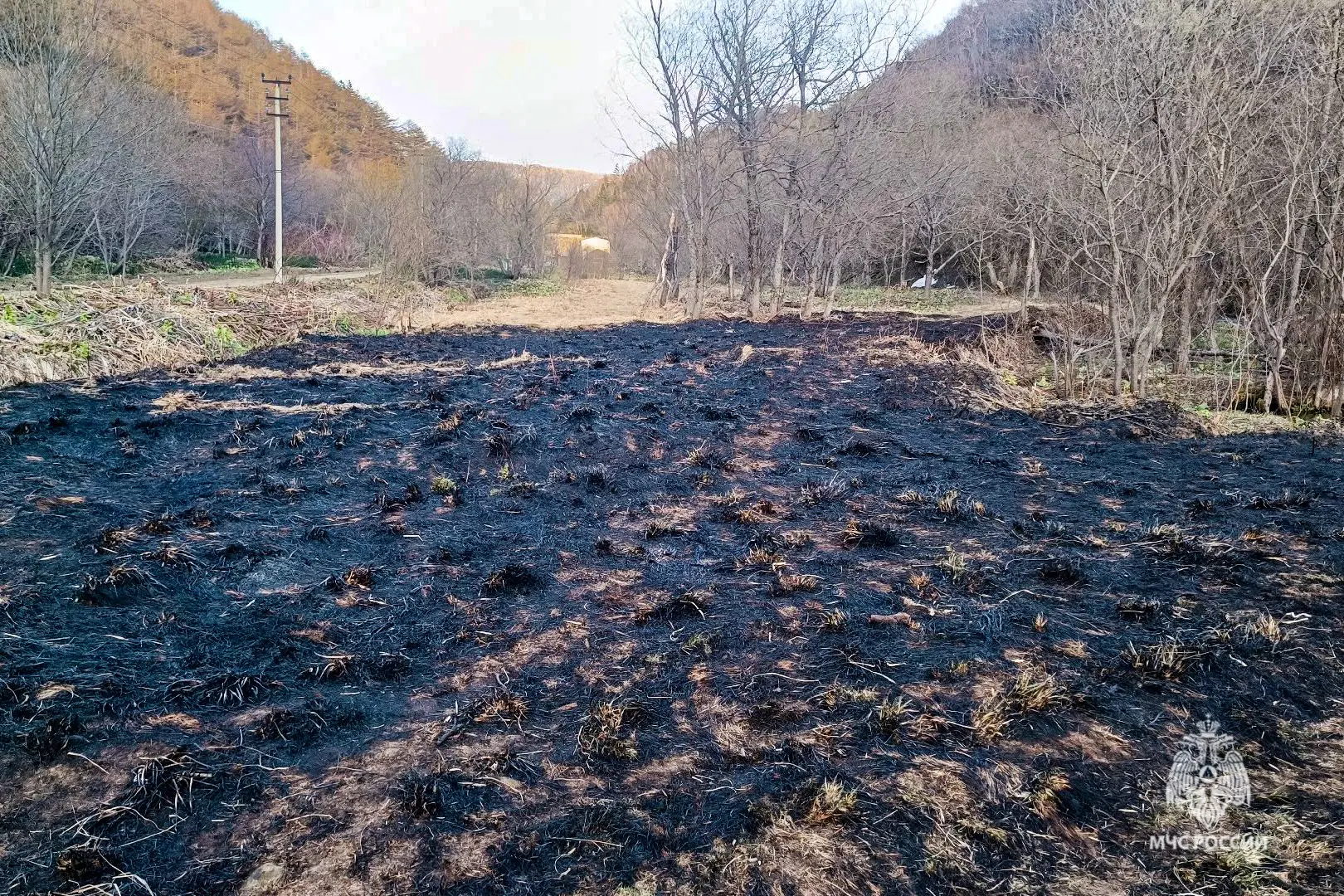 Огнеборцы защищают населенные пункты от ландшафтных пожаров Огнеборцы защищают населенные пункты от ландшафтных пожаров