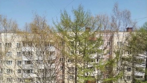 В Южно-Сахалинске 12 мая будет по-летнему тепло