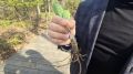 �� �������� - ������ ����� �������