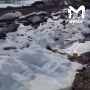 ������ ����� ��������� �� ��������