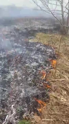 В Долинском районе горело поле площадью 5 гектаров