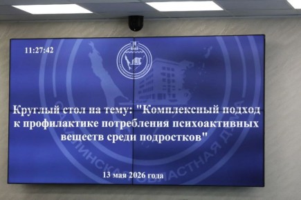 На Сахалине состоялось заседание круглого стола по профилактике потребления психоактивных веществ среди подростков