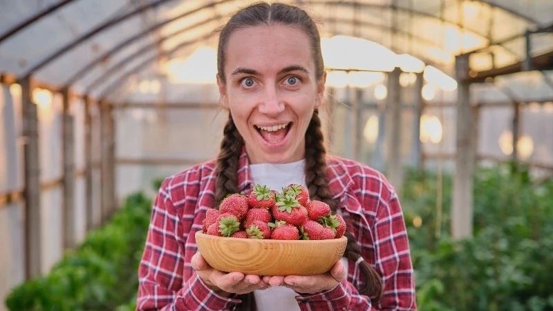 Сахалинка рассказала, как получить урожай клубники на островном участке