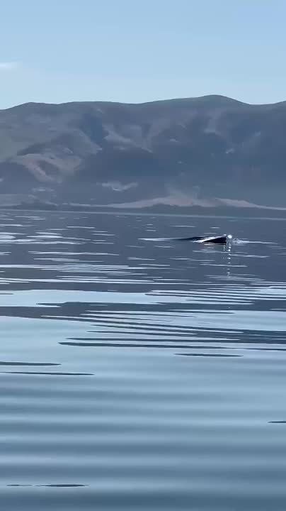 И закончим этот день красивым видео из социальных сетей