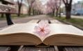 На Сахалине до +19 °C, а на Курилах до +7 °C: прогноз на 22 мая