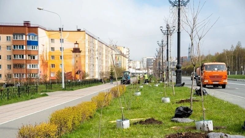 Более 400 деревьев и 16 тысяч кустарников высадят в Южно-Сахалинске Более 400 деревьев и 16 тысяч кустарников высадят в Южно-Сахалинске