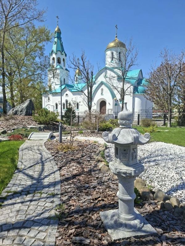 Цветущая магнолия в Южно-Сахалинске Цветущая магнолия в Южно-Сахалинске