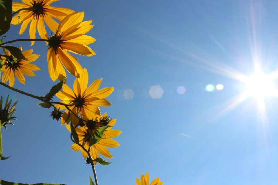 На Сахалине до +25°C, а на Курилах всего +9°C: прогноз на 23 мая