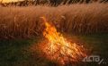 Высокую пожарную опасность объявили в Смирныховском районе