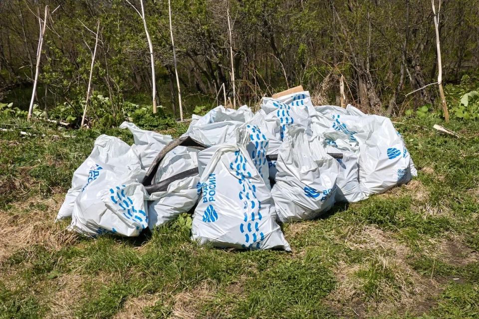 Приводим берега рек в порядок совместными усилиями Приводим берега рек в порядок совместными усилиями