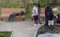 "Пили водку, спали на скамейках": южносахалинка рассказала о вульгарной компании подростков