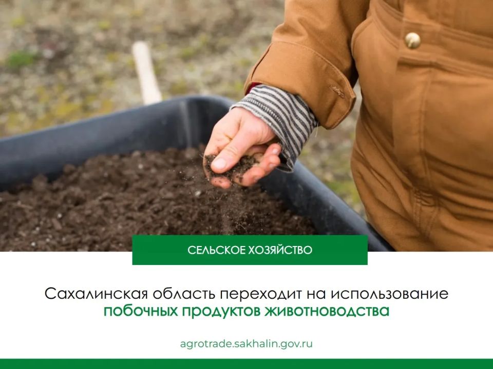 В Сахалинской области стартовала новая программа по внедрению безотходного производства (распоряжение Правительства от 28.04.2026 № 338 р). Документ направлен на снижение объёмов отходов во всех отраслях, а одним из ключевых...