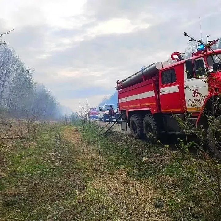 Около десяти часов тушили лесной пожар, разгоревшийся на территории Смирныховского района