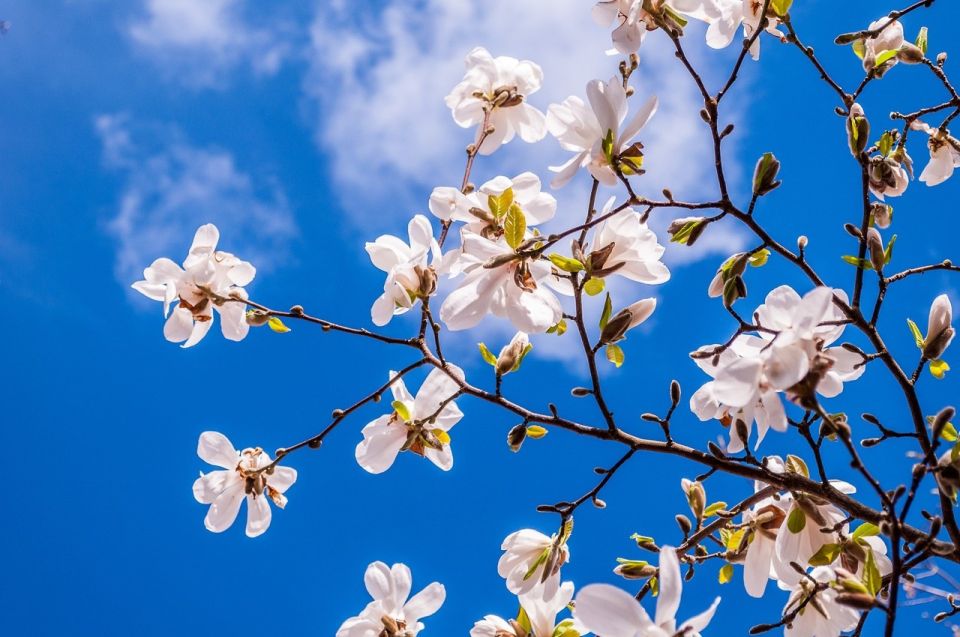 На Сахалине до +20°C, а на Курилах дожди: прогноз на 28 мая