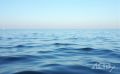 �� ������ ����: ����������� ���� �������� ����� ����� ��� - "��������� ������-����"