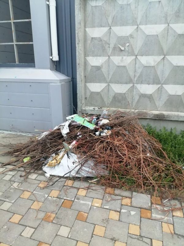 #нампишут. Улицу Чехова за роддомом так засорили, что просто ужас! Кучу мусора сложили ещё месяц назад, так и лежит #нампишут. Улицу Чехова за роддомом так засорили, что просто ужас! Кучу мусора сложили ещё месяц назад, так и лежит