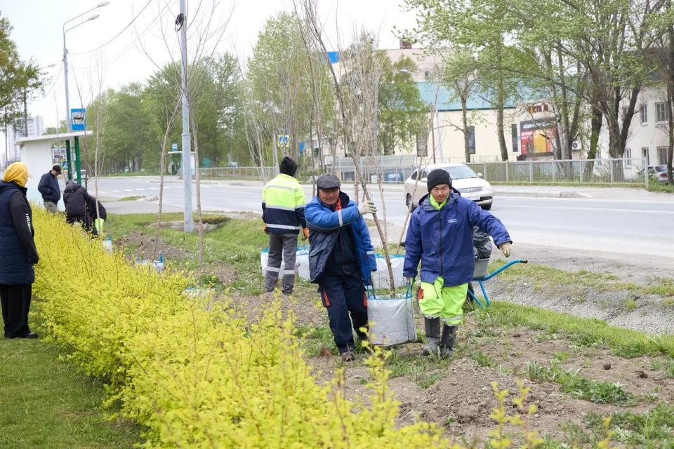 В городе продолжается работа по созданию «зелёного каркаса» В городе продолжается работа по созданию «зелёного каркаса»