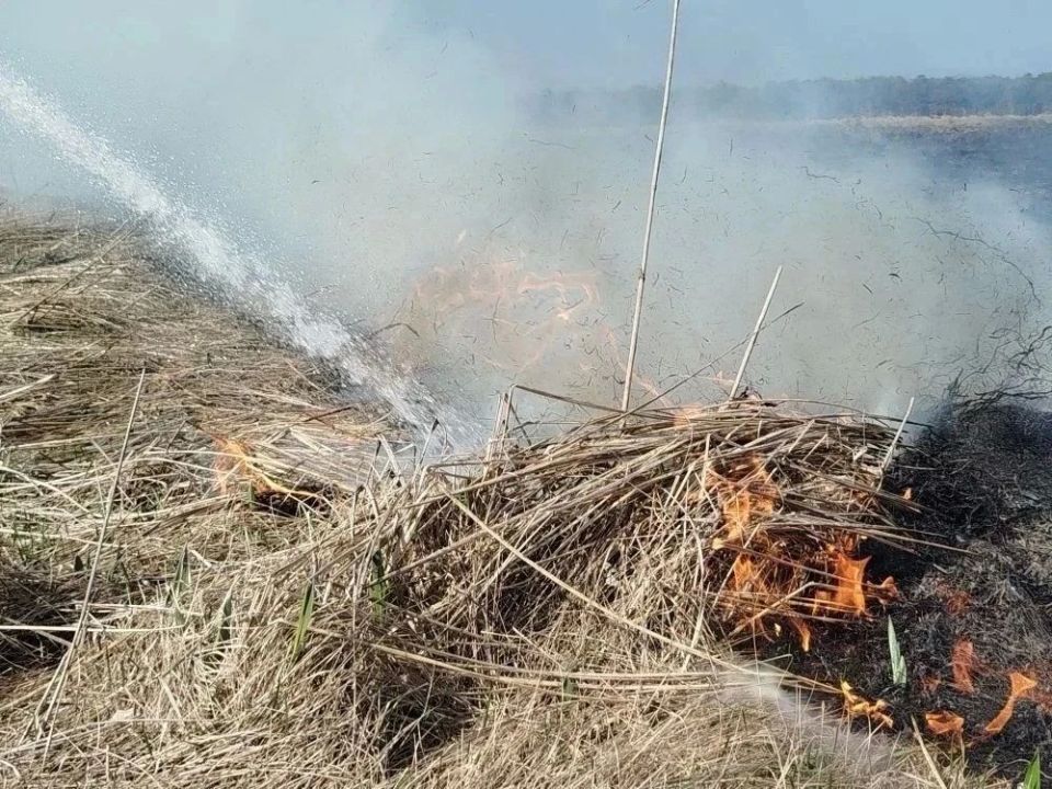 Пожарные ликвидировали возгорание сухой травы в Анивском районе