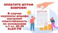 Административный штраф является самой распространенной административной санкцией и выполняет сразу несколько функций: карательную, превентивную и компенсационную