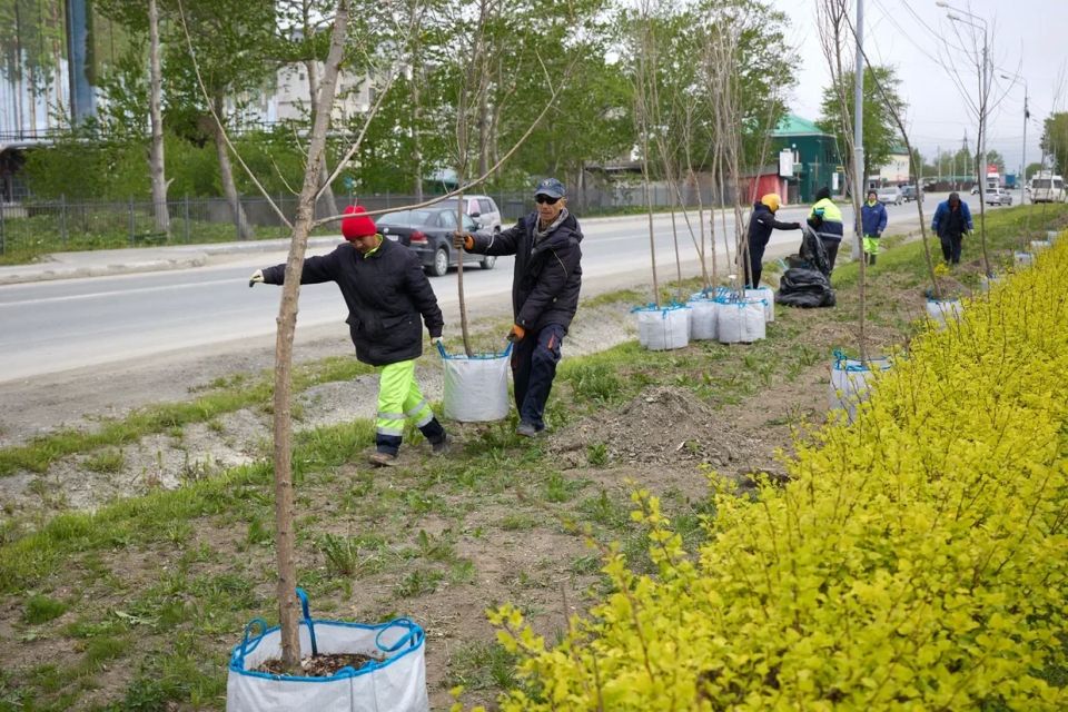 В городе продолжается работа по созданию «зелёного каркаса» В городе продолжается работа по созданию «зелёного каркаса»