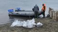 В залив Анива выпустили 400 тысяч мальков трепанга для искусственного воспроизводства