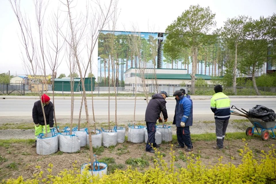 В городе продолжается работа по созданию «зелёного каркаса» В городе продолжается работа по созданию «зелёного каркаса»
