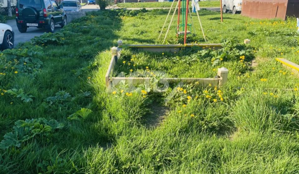 Мэрия Южно-Сахалинска оперативно отреагировала на борщевик, который захватил детскую площадку в Ново-Александровске Мэрия Южно-Сахалинска оперативно отреагировала на борщевик, который захватил детскую площадку в Ново-Александровске