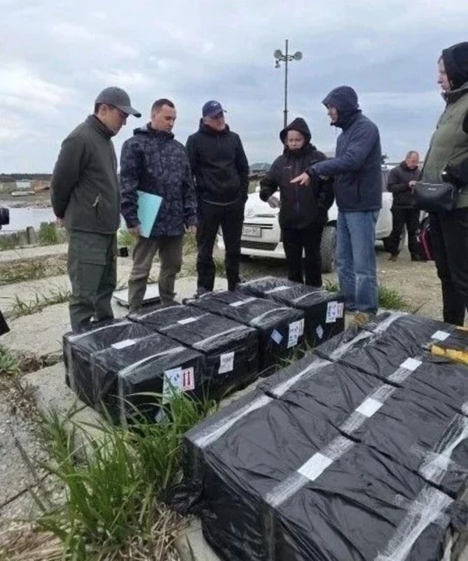 В залив Анива выпустили 400 тысяч мальков трепанга для искусственного воспроизводства В залив Анива выпустили 400 тысяч мальков трепанга для искусственного воспроизводства