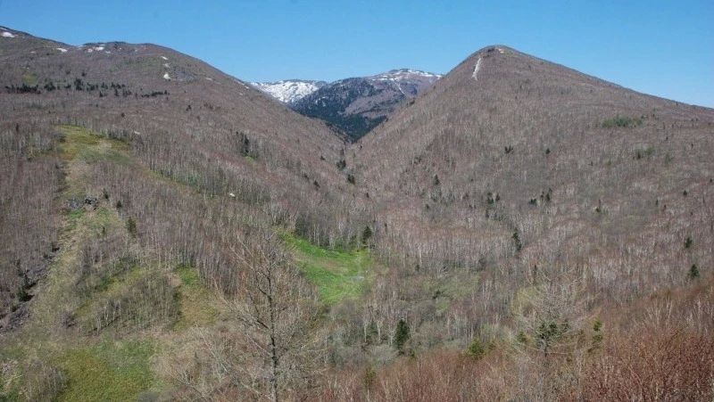 В ЮжноСахалинске благоустроят пешеходный маршрут к водопаду Айхор
