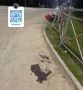 Двое мотоциклистов серьезно пострадали в ДТП с Mazda в Южно-Сахалинске