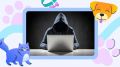«Продавала» несуществующих котят: в Южно-Сахалинске задержали серийную интернет-мошенницу