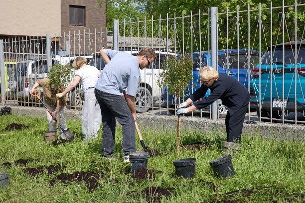 Проспект Победы в Южно-Сахалинске украсили кусты сирени и гортензии Проспект Победы в Южно-Сахалинске украсили кусты сирени и гортензии