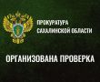 Холмской городской прокуратурой организована проверка по факту нападения змей на детей